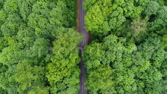 穿过森林的道路鸟瞰图视频的预览图