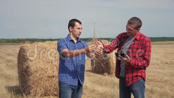 团队农业智慧农业生活方式理念两个男人的农民工人在一片田野上研究干草堆视频的预览图