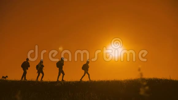 人们徒步旅行团和狗的轮廓阳光下的游客四个人走在夕阳的轮廓之上视频的预览图