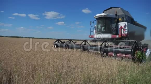 联合收割机收割小麦慢生活方式运动视频农业收获概念田间的联合收割机视频的预览图