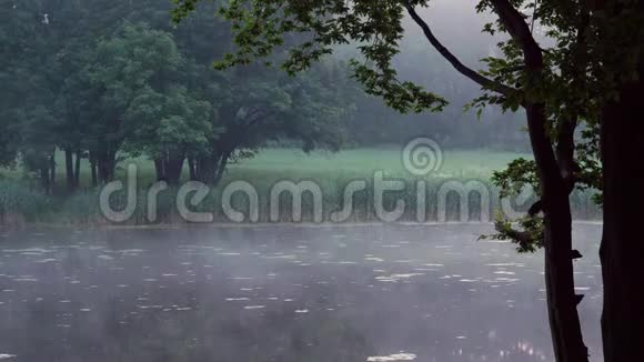 夏天日出时森林湖上的雾视频的预览图