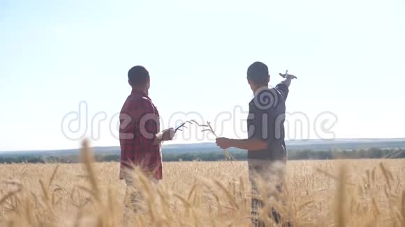 团队合作智能生活方式农业慢动作视频两个农民在麦田里干活农民在探索学习男人视频的预览图