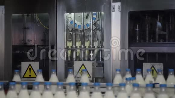 在输送线上包装奶瓶牛奶生产厂牛奶包装线视频的预览图