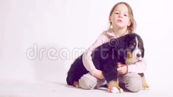 伯纳牧羊犬的女孩和小狗视频的预览图