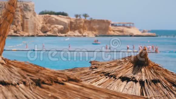 热带海滩与太阳伞在红海附近的珊瑚礁埃及视频的预览图