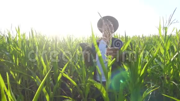 智慧农业慢动作视频概念男子农艺师在玉米地拿着平板电脑正在学习视频的预览图