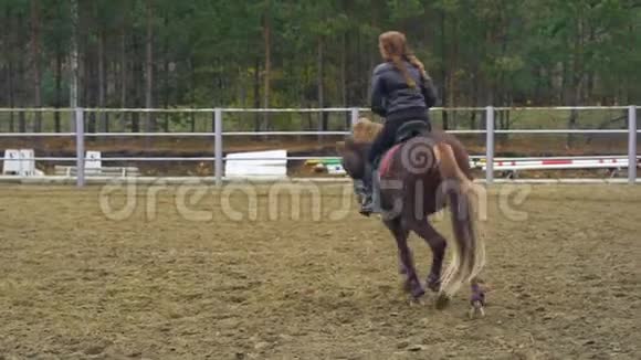 年轻的女人一头漂亮的棕色头发骑着一匹棕色的马视频的预览图
