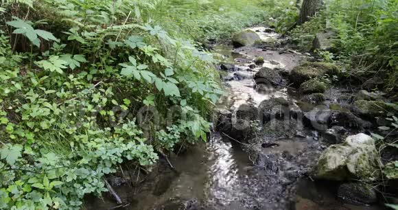 小山涧视频的预览图