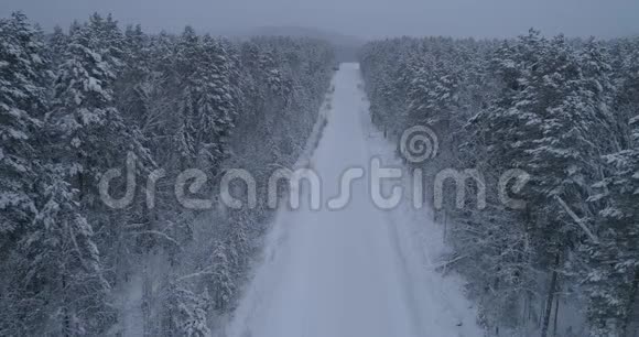 俄罗斯西伯利亚冬季森林泰加木材载体视频的预览图