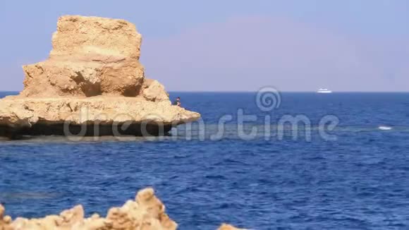 落基海滩在红海和悬崖附近的珊瑚礁埃及红海海岸度假村视频的预览图