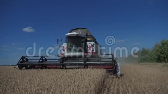 联合收割机收割小麦慢动作视频收获农业概念田间联合收割视频的预览图