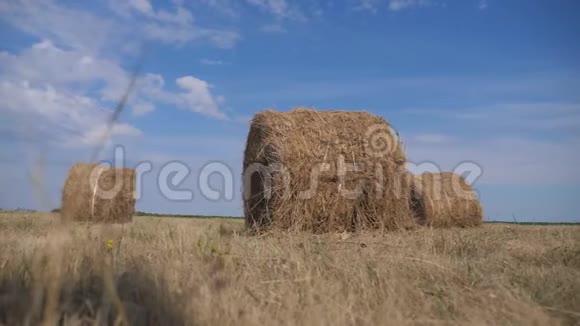 农业耕作理念慢动作视频生活方式美丽的蓝天下麦田上的干草堆视频的预览图
