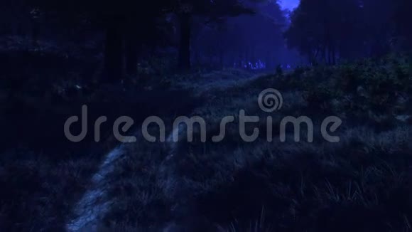 在紫罗兰色的月亮下在夜晚蓝色的森林中运动视频的预览图