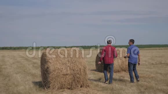 团队农业智慧农业理念生活方式两个男的农民工人在田野上的草堆上散步视频的预览图