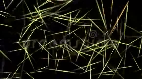 提取松针碎片线光留下茶叶微生物细菌孢子视频的预览图
