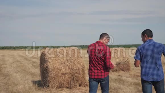 团队农业智慧农业理念两个男的农民工人在生活方式领域里的干草堆上散步视频的预览图