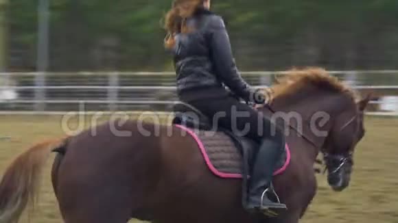 年轻的女人一头漂亮的棕色头发骑着一匹棕色的马视频的预览图