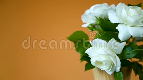橙色的白色玫瑰花束视频的预览图