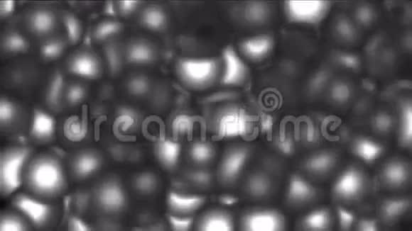 抽象圆形球体点微细菌孢子虫背景视频的预览图