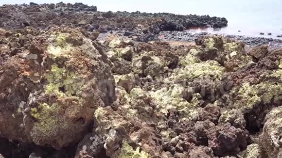 加那利岛海景视频的预览图