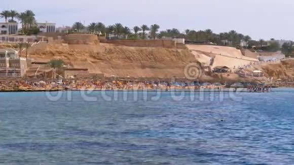 在靠近珊瑚礁的红海上的豪华酒店带雨伞和日光浴床的海滩埃及视频的预览图