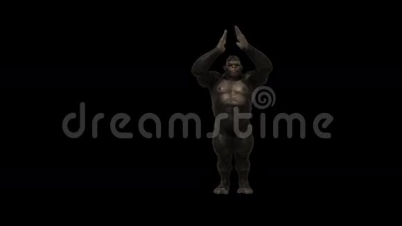 大猩猩滑稽跳街舞4视频的预览图