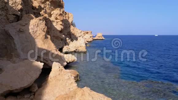 落基海滩在红海和悬崖附近的珊瑚礁埃及红海海岸度假村视频的预览图