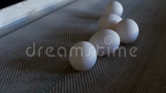 生产的鸡蛋家禽鸡蛋经过输送机进一步分拣特写视频的预览图
