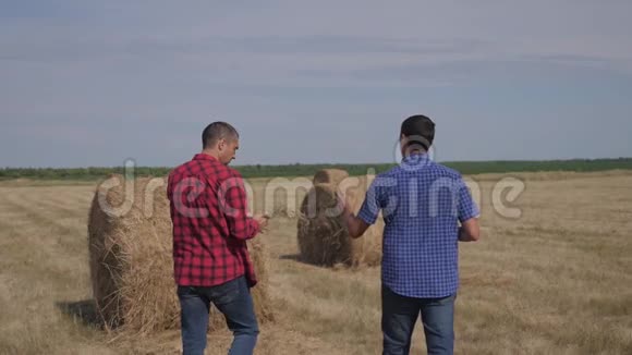 团队农业智慧农业理念两个男的农民工人在田间散步学习干草堆的生活方式视频的预览图