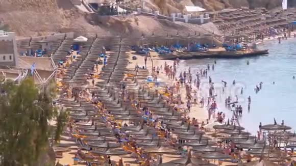 海滩上的豪华酒店有雨伞和日光浴床在红海附近的珊瑚礁埃及视频的预览图