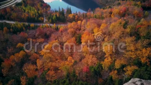弗兰科尼亚诺奇州立公园的秋色视频的预览图
