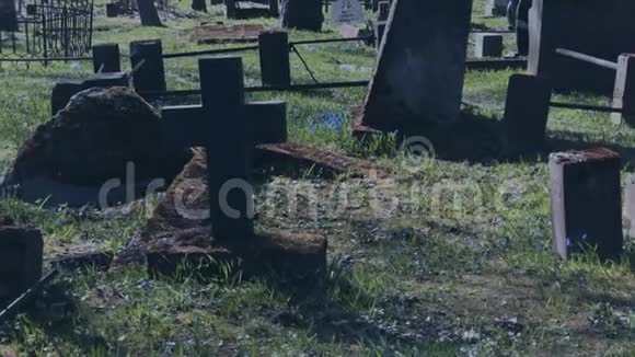 走在古老的墓地里视频的预览图