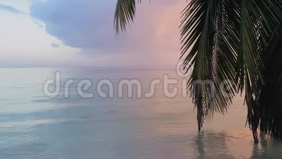 热带海滩有椰子棕榈树加勒比外来旅游胜地多米尼加共和国视频的预览图
