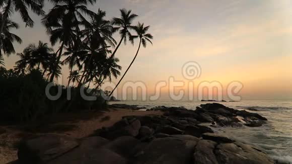 日落时有棕榈树的沙滩视频的预览图