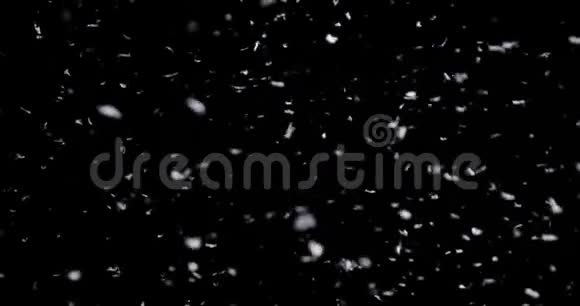 黑背景下的大雪视频的预览图