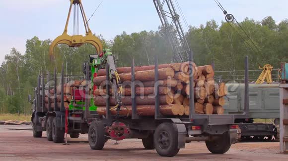用起重机卸载原木车在锯木厂卸载原木在锯木厂工作流程视频的预览图