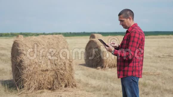 智慧农业理念一名农民工人在数字平板电脑上的田野里研究干草堆的生活方式慢慢慢慢视频的预览图