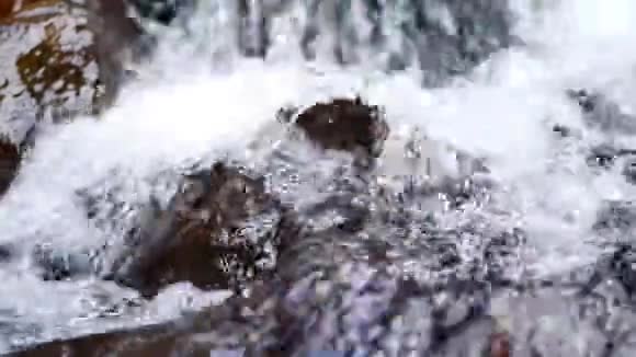春天的山河视频的预览图
