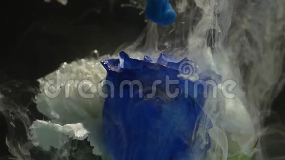 令人惊讶的是一朵美丽的蓝色玫瑰与水中的墨水混合在一起视频的预览图