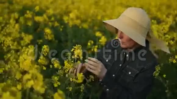 油籽油菜栽培农业田间调查与控制植物生长的女农民视频的预览图