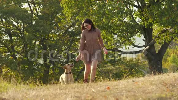可爱的小女孩和她可爱的狗在日落时一起跑步视频的预览图