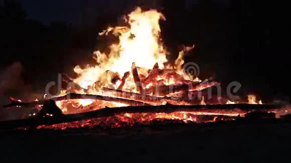 夜晚的篝火视频的预览图