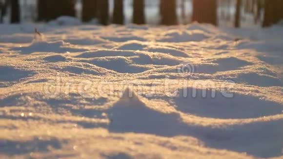 冬季森林美丽的日落视频的预览图
