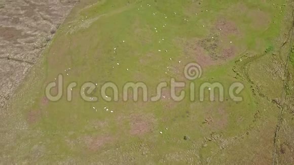 苏格兰高地的鸟瞰图山上有羊视频的预览图