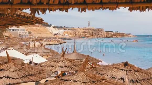 热带海滩与太阳伞在红海附近的珊瑚礁埃及视频的预览图
