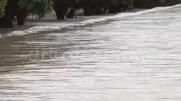 洪水水流过道路视频的预览图
