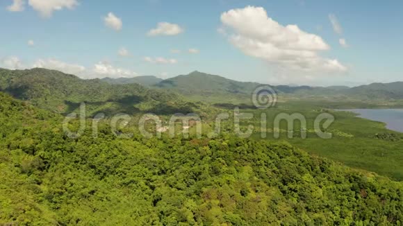 热带森林和山脉巴拉望菲律宾视频的预览图