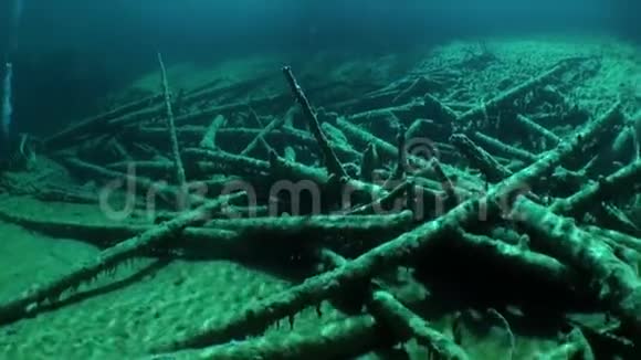 在Fernsteinsee山下潜水泰罗奥地利水下视频的预览图