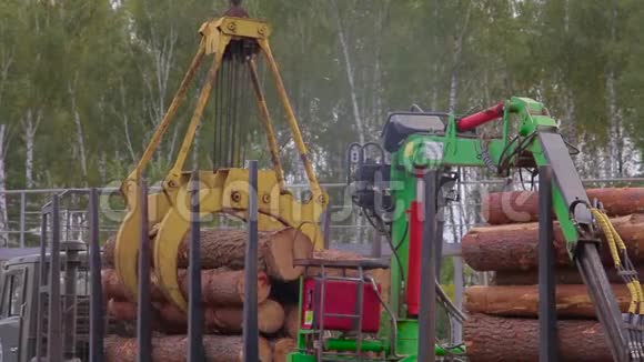 用起重机卸载原木车在锯木厂卸载原木在锯木厂工作流程视频的预览图