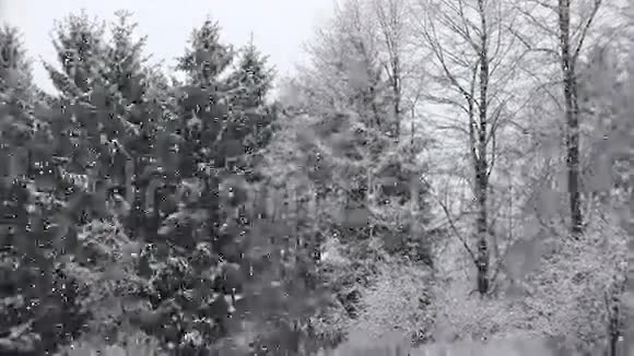 大雪湖效雪视频的预览图